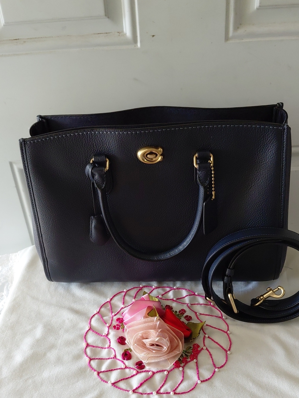 Coach Brooke Carry All